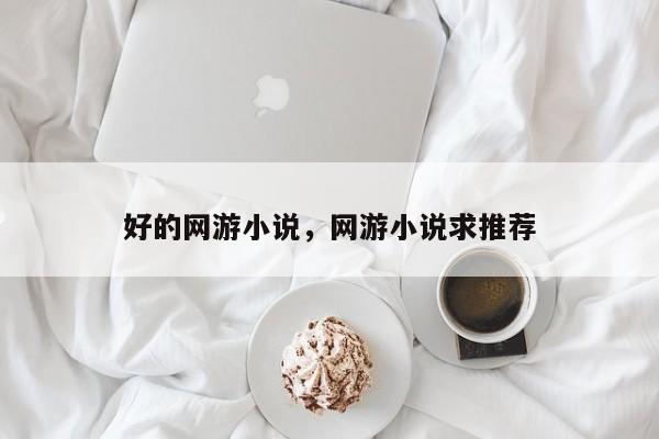 好的网游小说，网游小说求推荐
